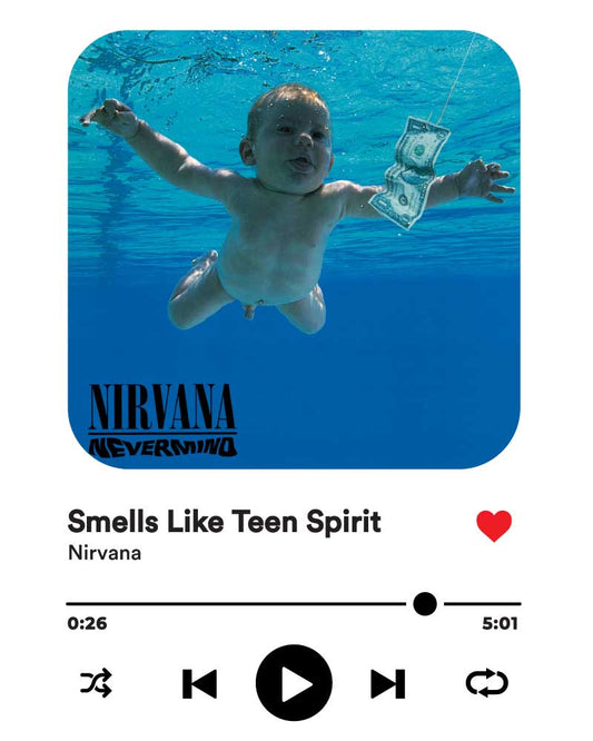 NIRVANA ALBUM ART T-SHIRT