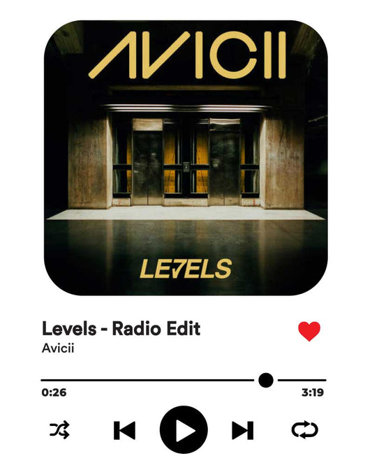AVICII LEVELS T-SHIRT